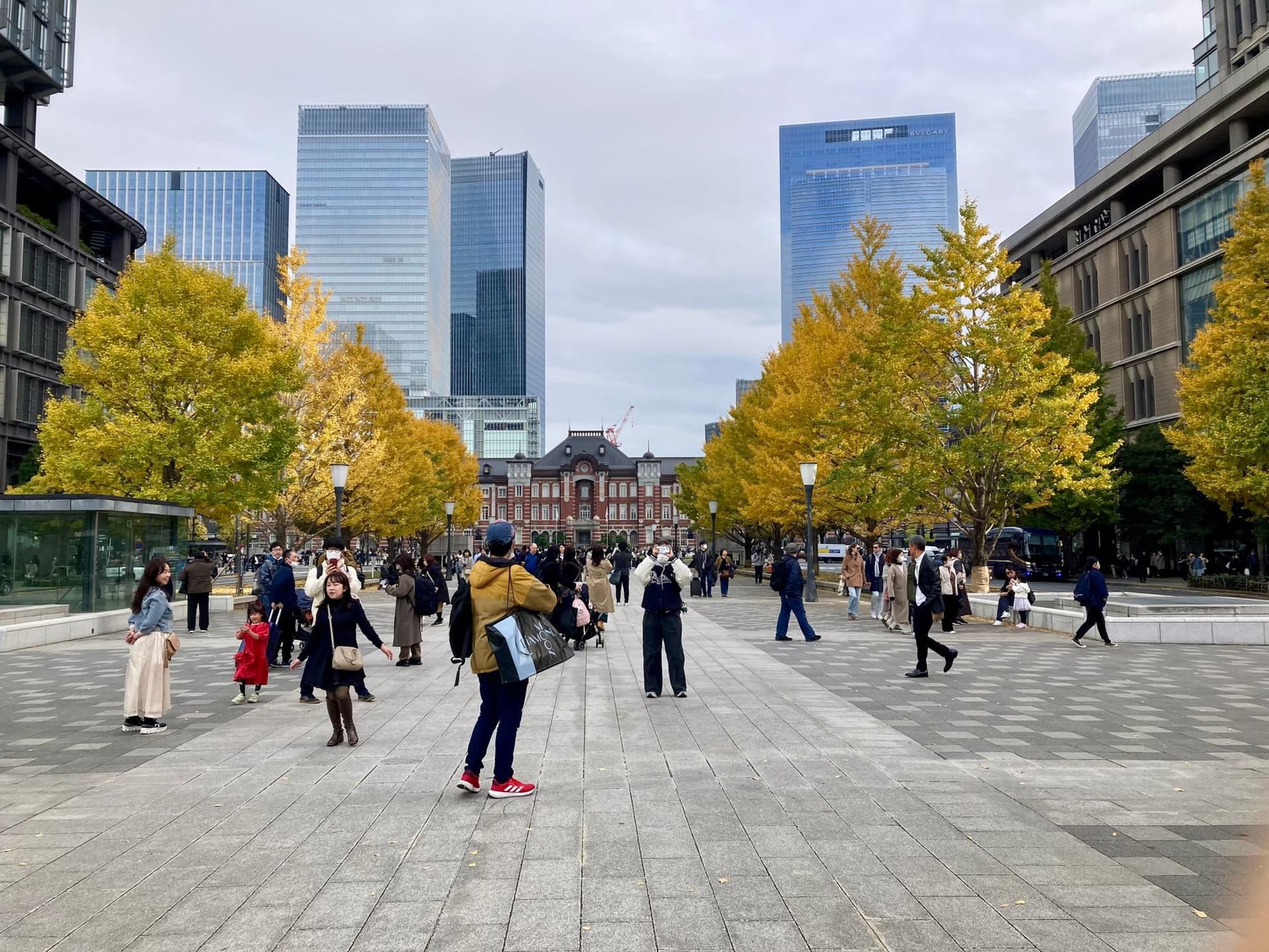 東京駅丸の内口の広場。銀杏の黄葉と行き交う人。